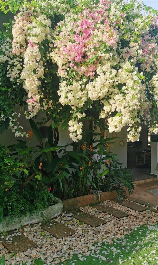 Alisa Garden Boutique Hotel Панглао Экстерьер фото