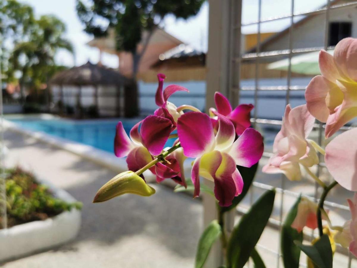 Alisa Garden Boutique Hotel Панглао Экстерьер фото