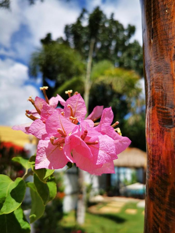 Alisa Garden Boutique Hotel Панглао Экстерьер фото